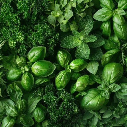 Collection image for: Aromatic